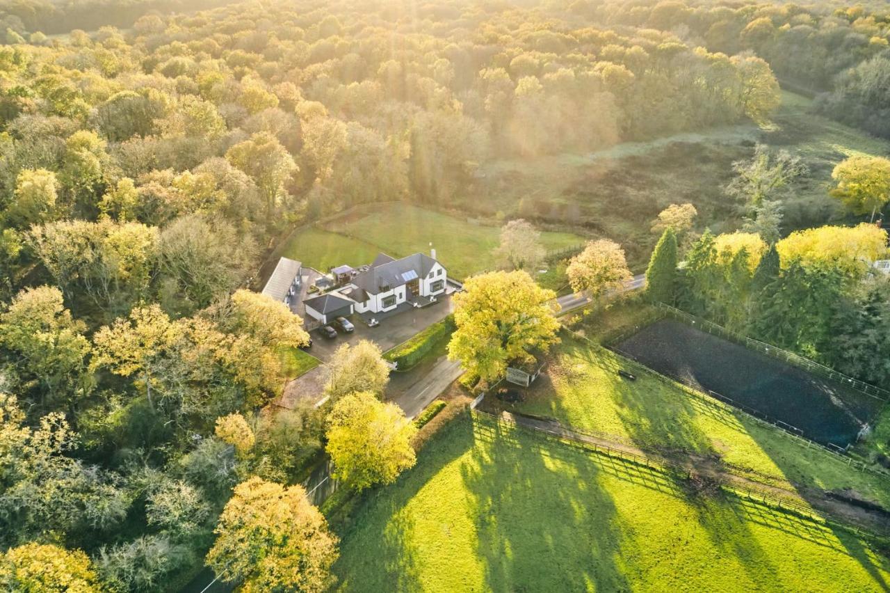 Woodland House Villa Belbroughton Dış mekan fotoğraf